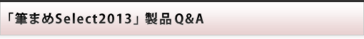 i Q&A : M܂Select2013